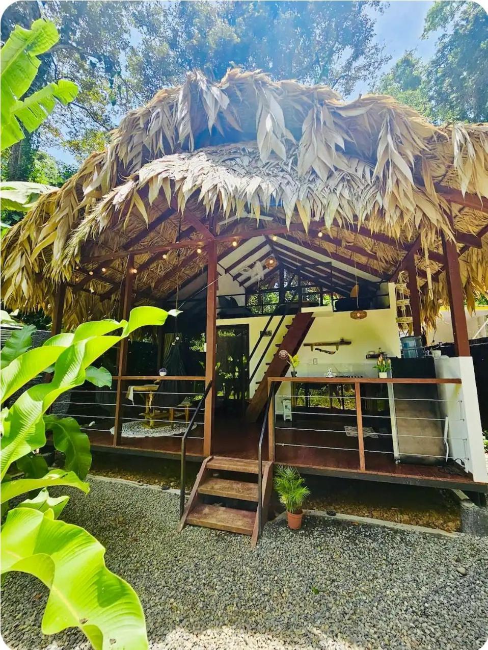 הוילה Hone Creek Evolution House Jungle Oasis מראה חיצוני תמונה