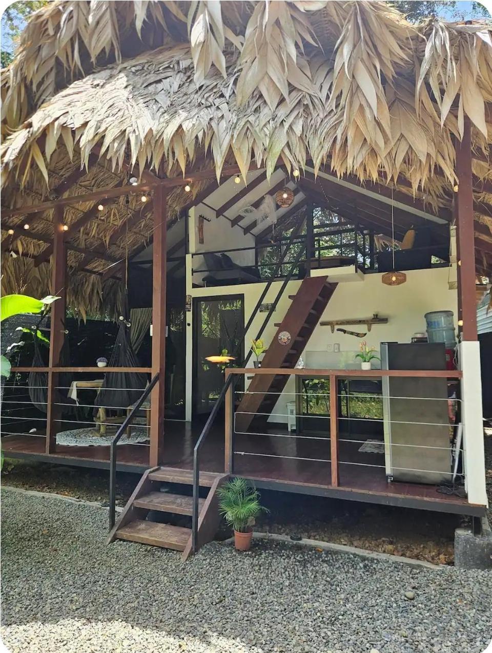 הוילה Hone Creek Evolution House Jungle Oasis מראה חיצוני תמונה